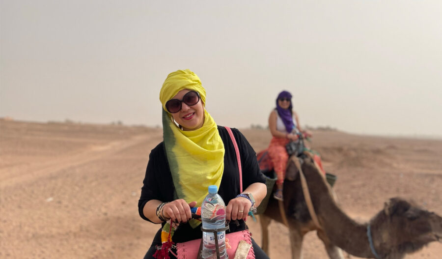 camellos camino al desierto
